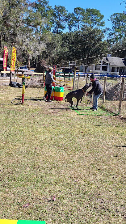 Backyard Dog Racing League
