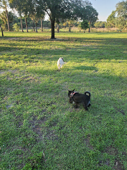 Fay Lake Wilderness Park off leash Dog Park