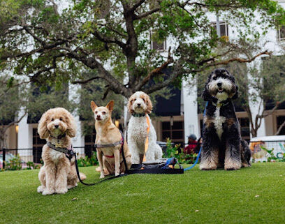 Chewy Bark Park - Coral Gables