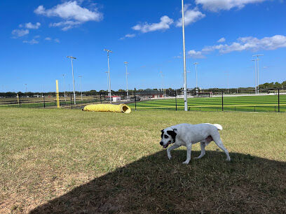 Dog park