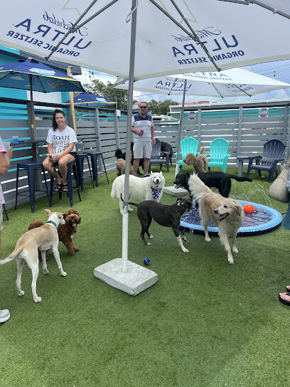 Dog Pub Social