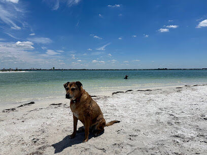 Honeymoon Island State Park Pet Beach