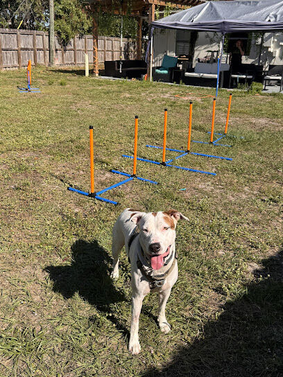 Dog Adventure Co