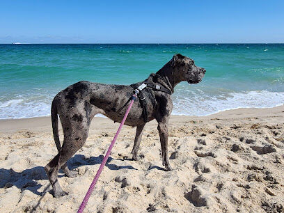 Fort Lauderdale Dog Beach
