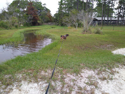 Liza Jackson Dog Park