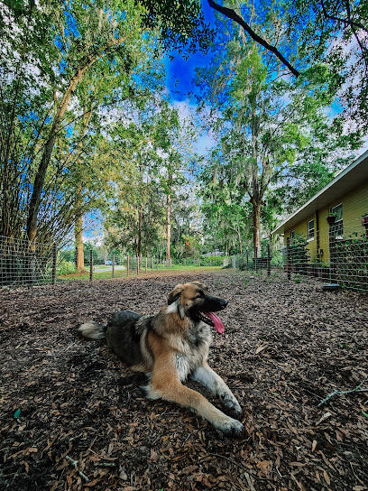 The Zoomie Zone [ BY APPOINTMENT ONLY]