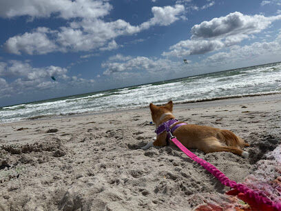 Hollywood Dog Beach