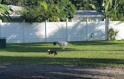 Indian Rocks Beach Dog Park