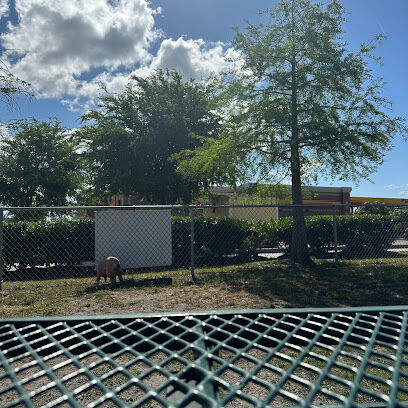 Dog Park at Love’s Travel Stops