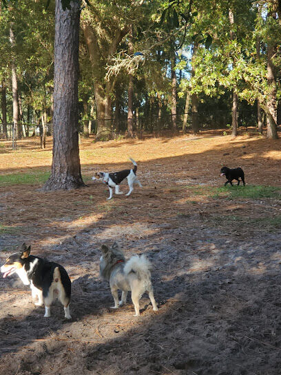 Ed Austin Regional Dog Park