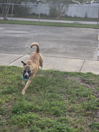 Forest Street Dog Park