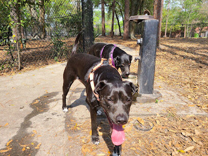 Good dog park