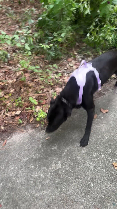 Tillie K. Fowler dog park