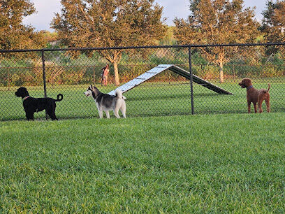 Dog Park