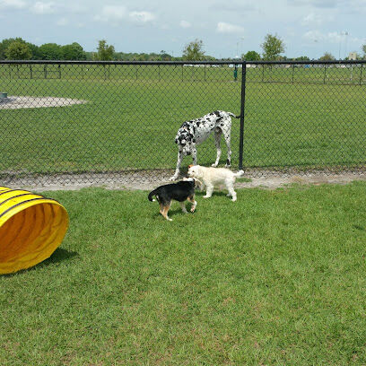 Simmers-Young (2nd entrance Dog Park)