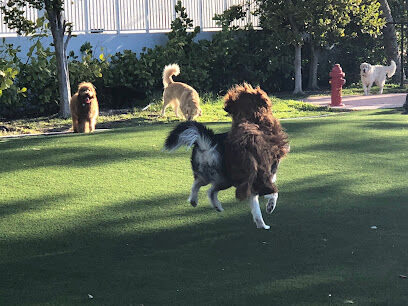 Village Green Dog Park