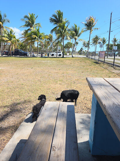 Dog Park