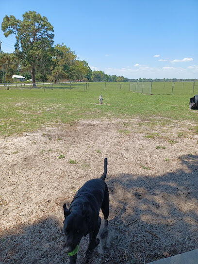 Lake Panasoffkee Dog Park