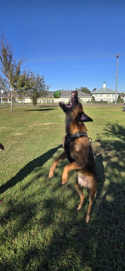 Cook Park Dog Park