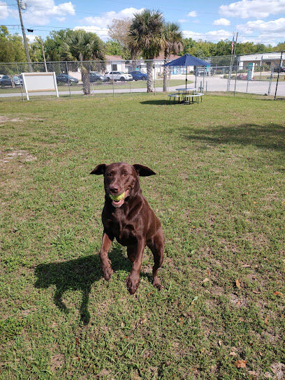 Hollywoof Hills Dog Park