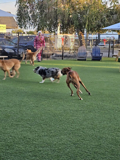 Barks and Brews Taphouse