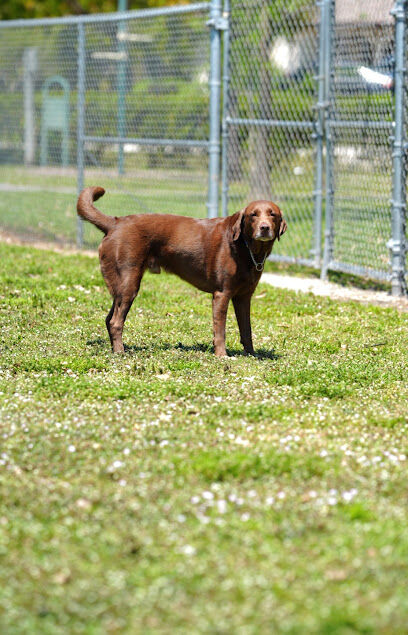 Downers Dog Park
