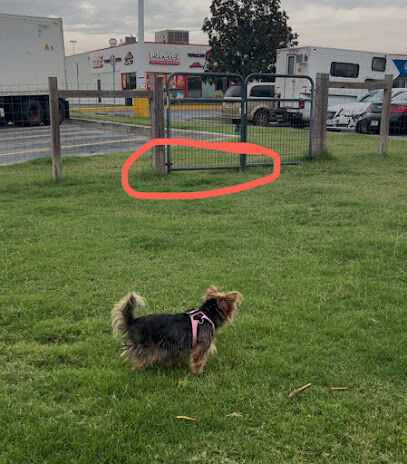 TA Dog Park