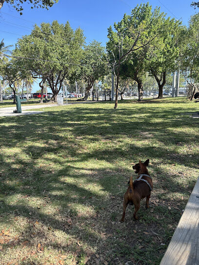Dog park