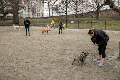 Washington Park - Small Dog Run