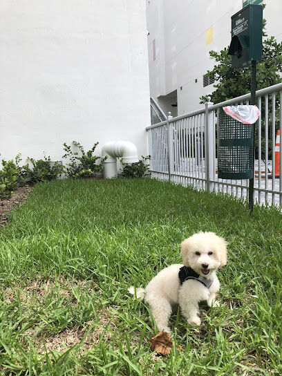 Canvas Dog Park