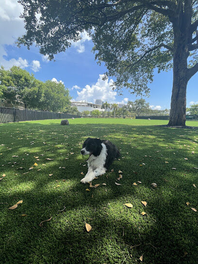 Dog Park