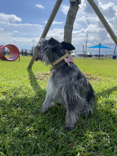 Miramar Paw Central Dog Park