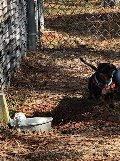 Navarre Small Dog Park