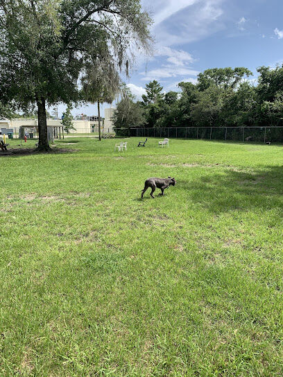 Dog Park