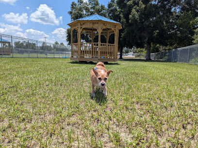 Marion Oaks Dog Park