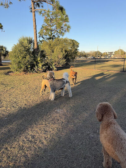 Dog Park