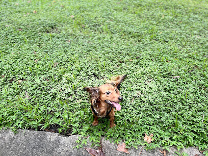 Jubilee Dog Park