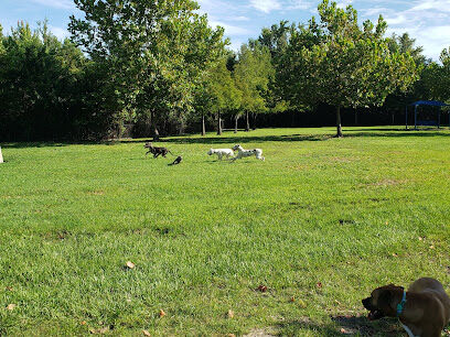 Meadow Woods Dog Park