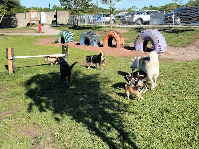 Shane Kelly Bark Park
