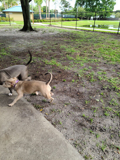 Holland Dog Park
