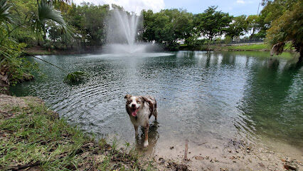 Perrine Wayside water Dog Park
