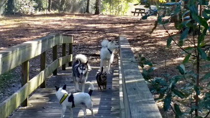 Zollie Young Dog Park