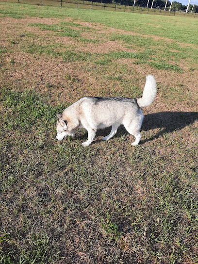 Dash’s Bark Park