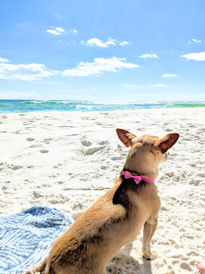 Florida Trail Pensacola Beach Dog Park Trailhead