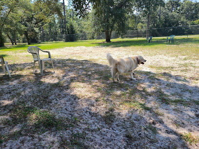 Bark Park at Bill Dickson Park