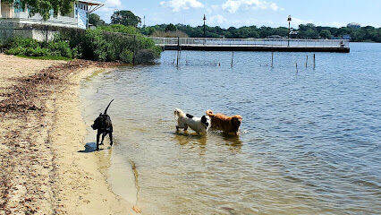 Bayview Dog Beach