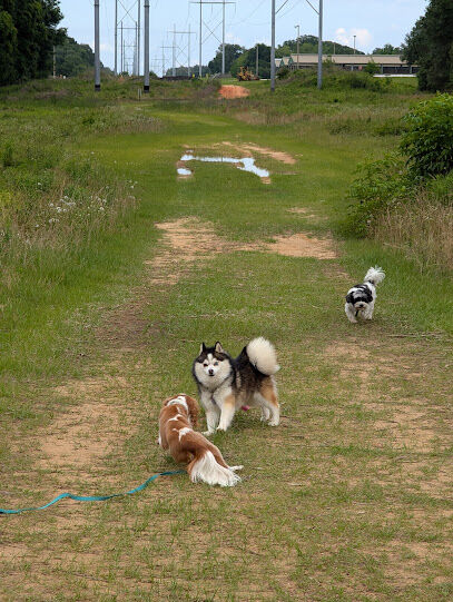Beulah Regional Park