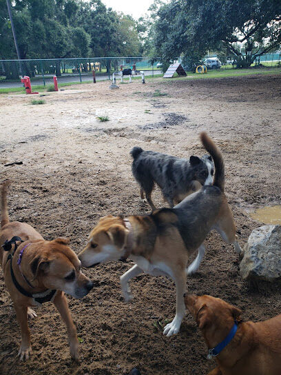 Roger Scott Dog Park
