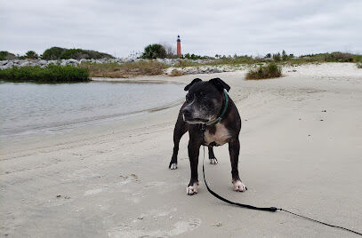 Ponce Inlet Dog Beach