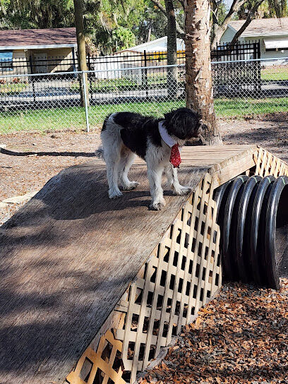Dog Park